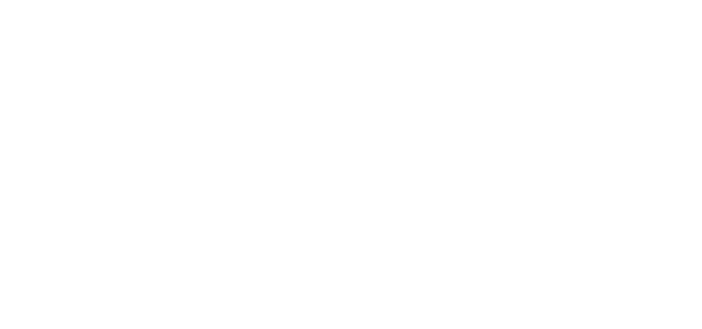 Logo for Level Access